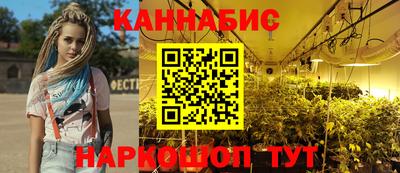 сатива Кулебаки
