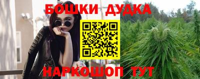 сатива Кулебаки
