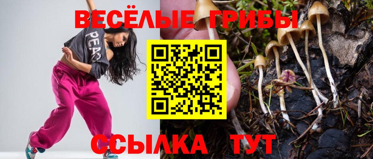 Галлюциногенные грибы Psilocybine cubensis Зеленокумск